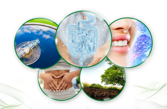 Zymo Research Announces Master the Microbiome Grant Winners