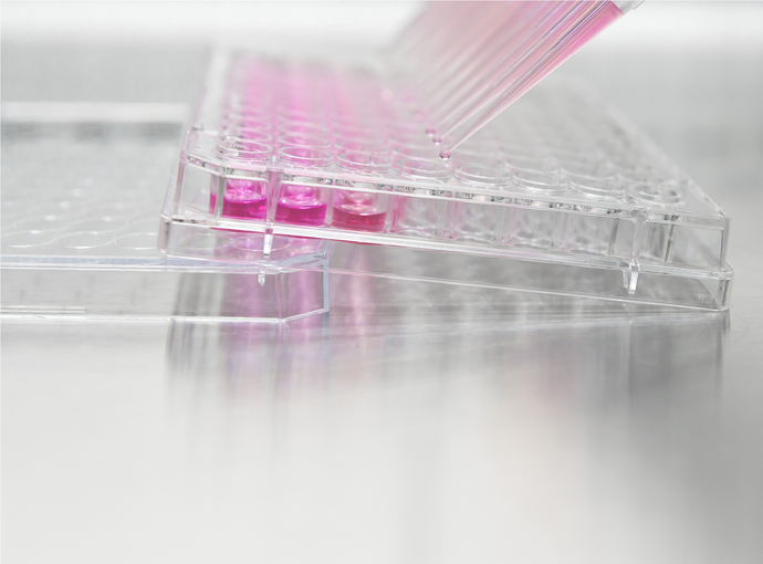 Detoxifying Transfection