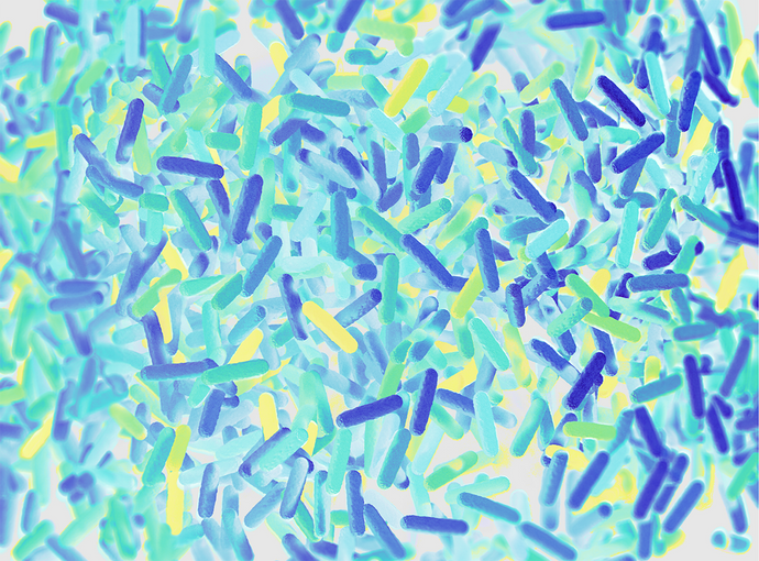 How to Discover Biases in Metagenomic Studies