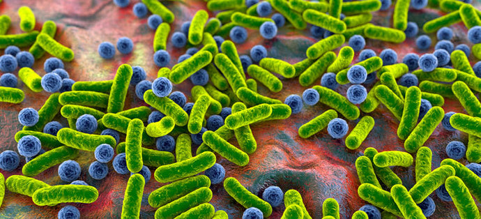 How to Choose a Microbiome Standard