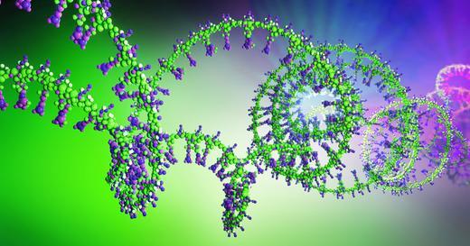 How to Design Primers for PCR Experiments