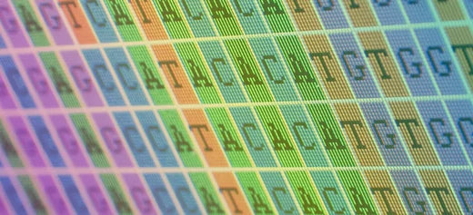 How to Sequence RRBS Libraries on Illumina<sup>®</sup> Platforms