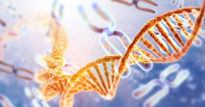 Bringing the Power of Chromosome Synthesis to Every Lab