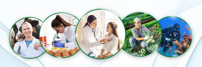 Zymo Research Launches Research Grant to Empower Mapping the RNome