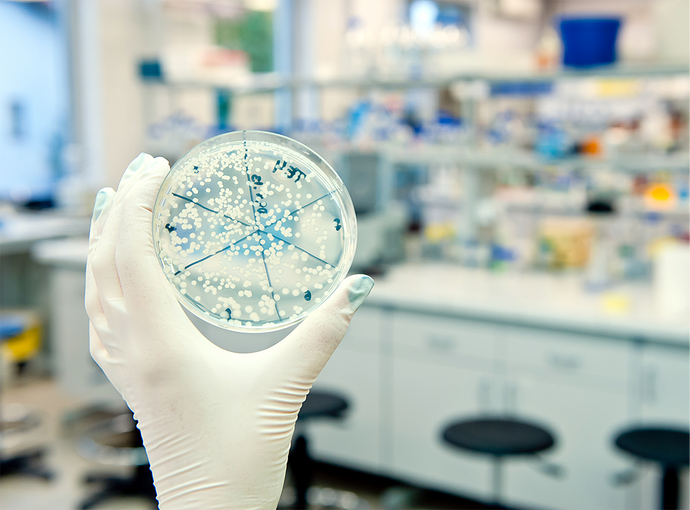 What Is Transformation, Transfection & Transduction?