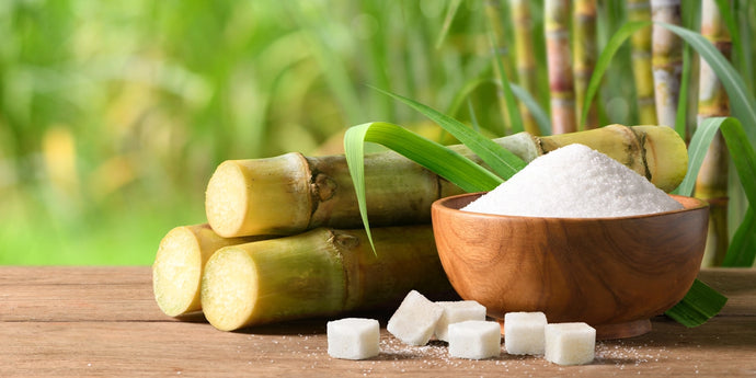 A Sweet Solution to Obesity