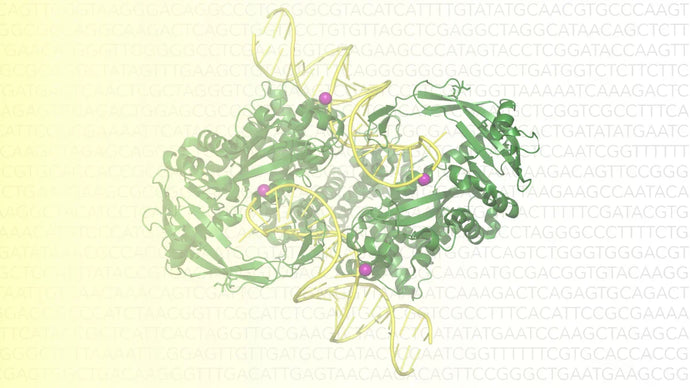 Zymo Research Sets New Standard in NGS Library Prep with Endura™ Tn5 Transposase
