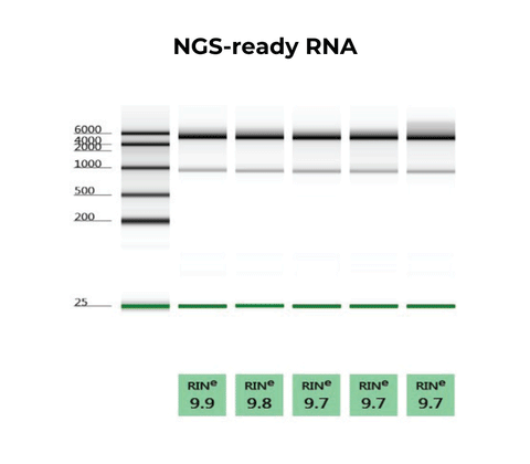 <i>Quick</i>-RNA 96 Kit
