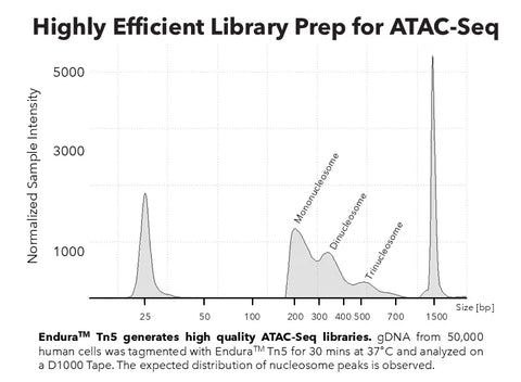 Endura Tn5 Transposase - Loaded