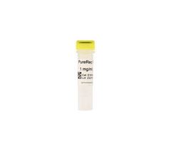 PureRec RNase A (Recombinant)