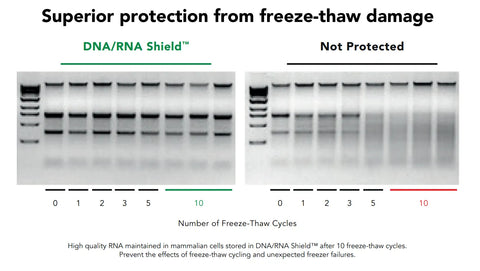 DNA/RNA Shield