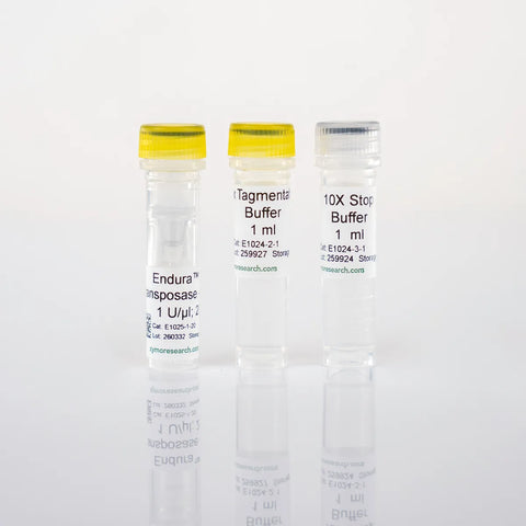 Endura Tn5 Transposase - Loaded