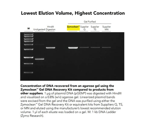 Zymoclean Gel DNA Recovery Kit