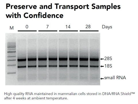 DNA/RNA Shield