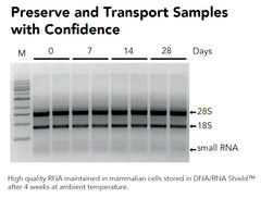 DNA/RNA Shield