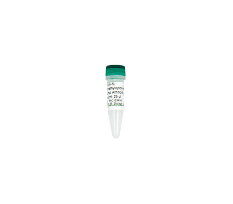 Anti-5-Hydroxymethylcytosine Polyclonal Antibody