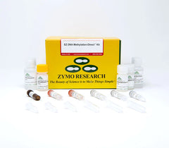 A complete and reliable bisulfite conversion kit that eliminates cumbersome DNA precipitation steps and allows DNA bisulfite conversion directly from blood, tissue, and cells without prior DNA purification.