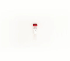 ZymoBIOMICS Microbial Community DNA Standard II (Log Distribution)