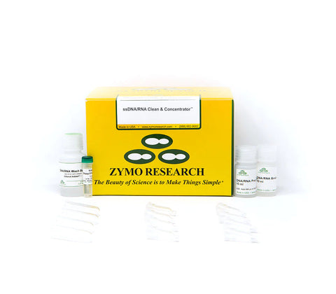 Separation of single from double-stranded nucleic acids