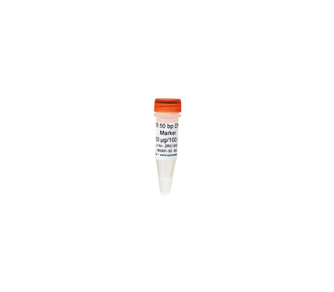 ZR 50 bp DNA Marker