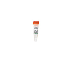ZR 50 bp DNA Marker