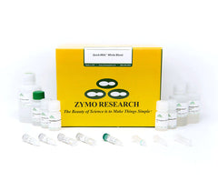 Isolate RNA and small/miRNA from whole blood.