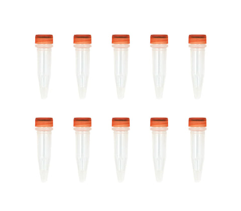 Mix & Go! Competent Cells-TG1