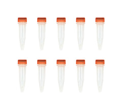 Mix & Go! Competent Cells-TG1