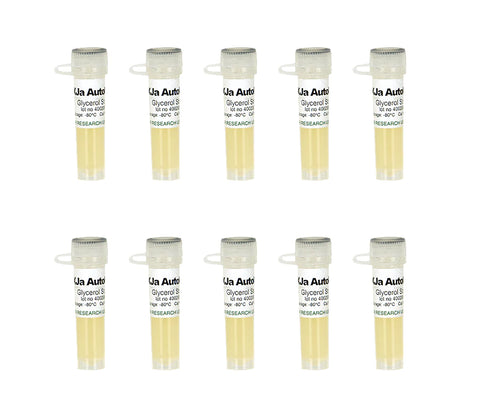 Mix & Go! XJa (DE3) Autolysis Competent Cells available with DE3 lysogen encoding T7 RNA Polymerase gene.